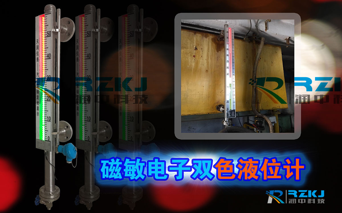 磁敏電子雙色液位計